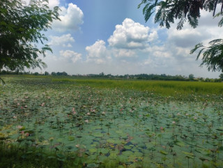 संरक्षणको अभावमा जीर्ण बन्दै कान्तिताल