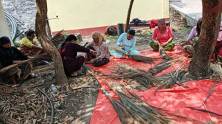 वन उद्यममा जोडिँदै नवलपुरका महिला