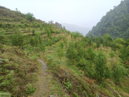 सिमस्याइलका लेकमा कृषि क्रान्ति गरिरहेका जयबहादुर