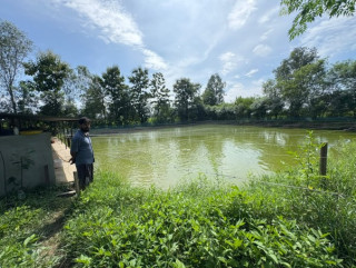 माछापालन व्यवसायबाट वार्षिक रु. १५ लाख बचत