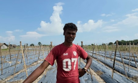 कोशीले जग्गा बगाएपछि भाडाको खेतमा तरकारी खेती गर्दै राकेश